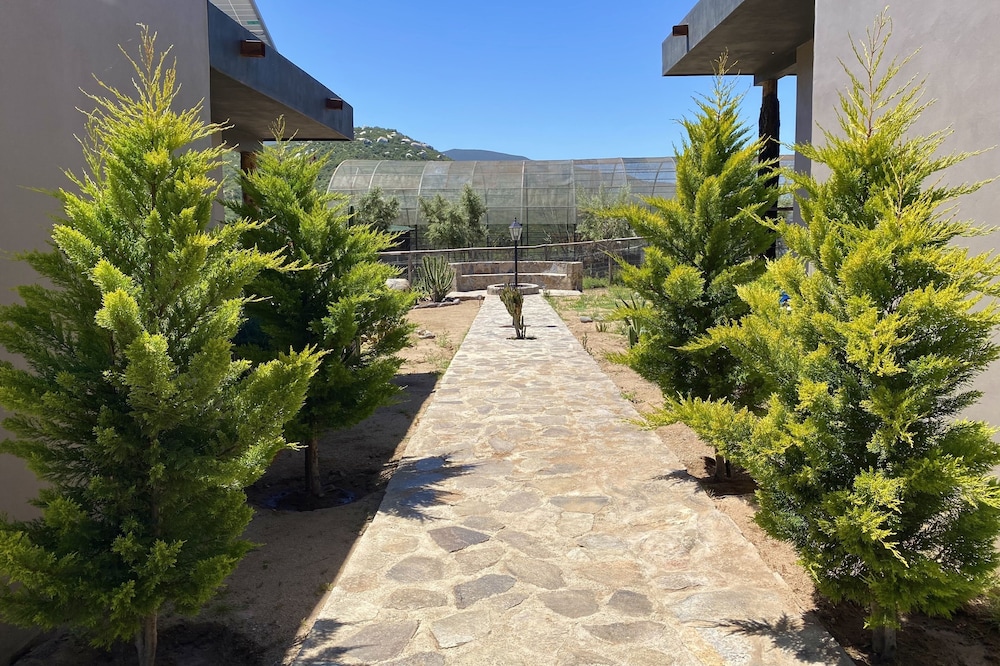 Coquenas del Valle