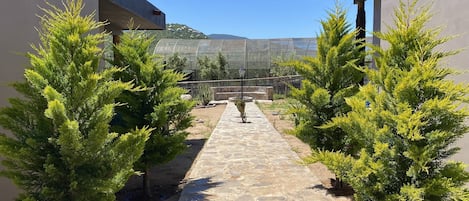 Un sendero de piedra bordeado por árboles verdes que conduce a un invernadero.