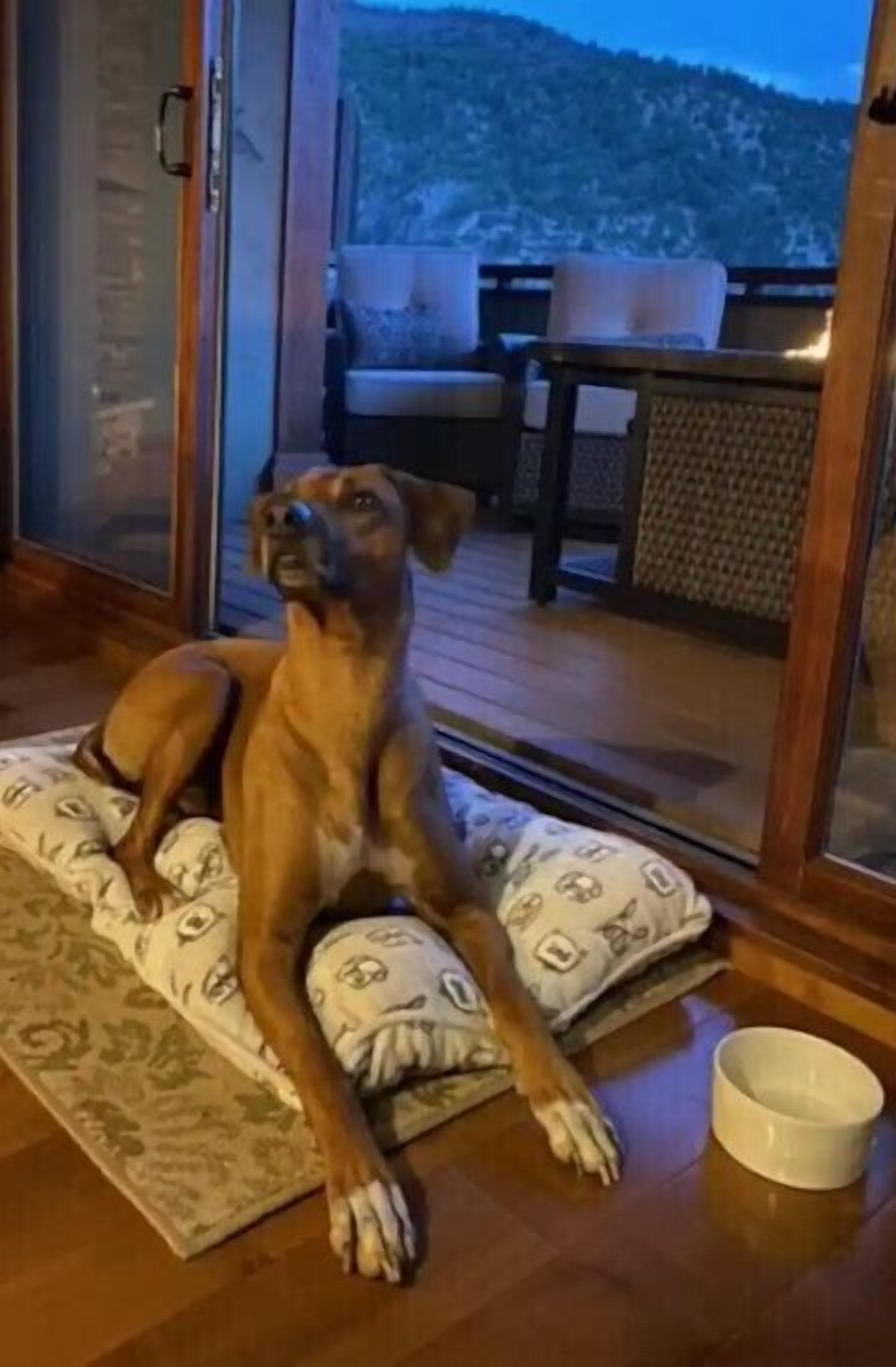 Best View in Glenwood Springs Hot Tub & Game Room