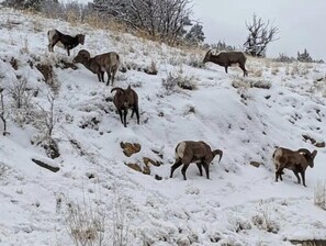 Deportes de invierno y ski