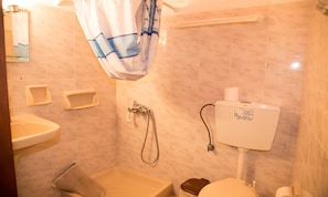 Une salle de bain avec douche, toilettes et lavabo.