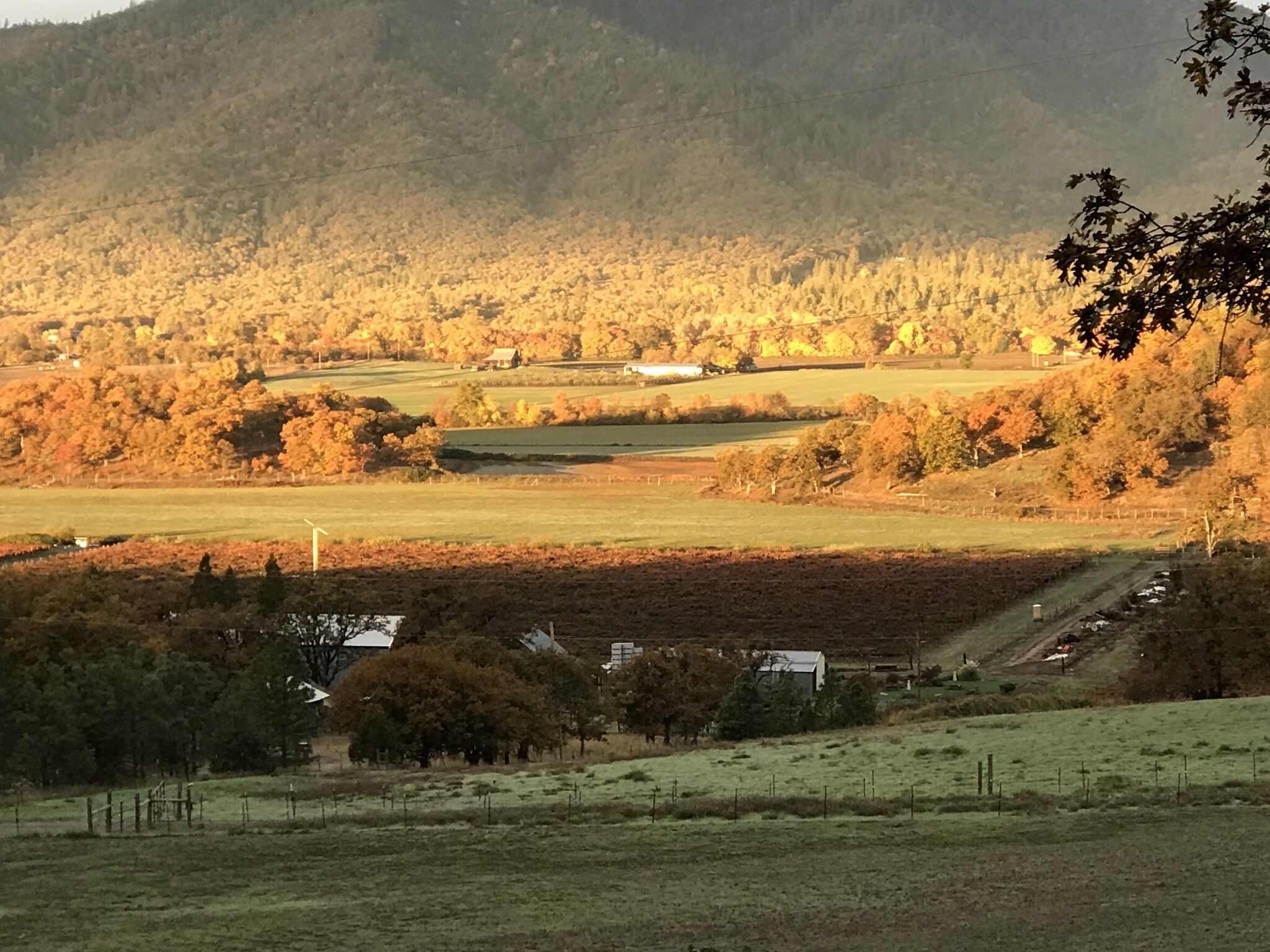 moonville retreat A little home with a winery view