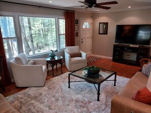 Smart TV, fireplace, DVD player, books