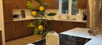 NEW Luxury Lakefront Villa • SPA • Billiards • Ping Pong