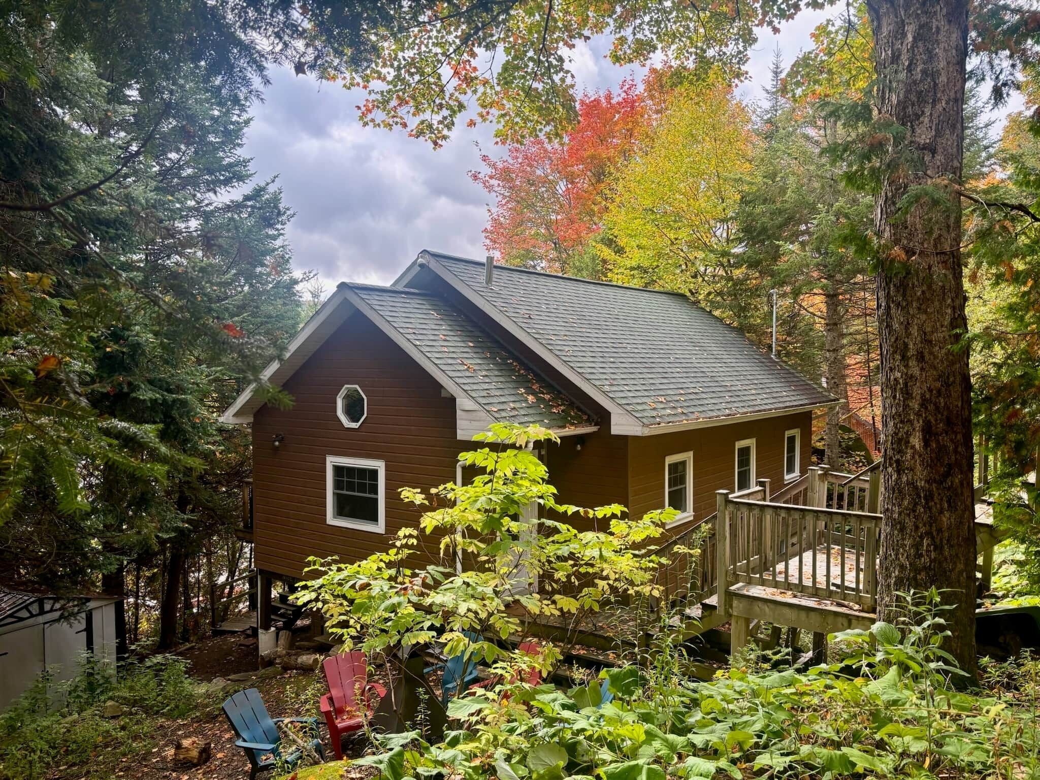 A cabin with a sloped roof, surrounded by dense forest.