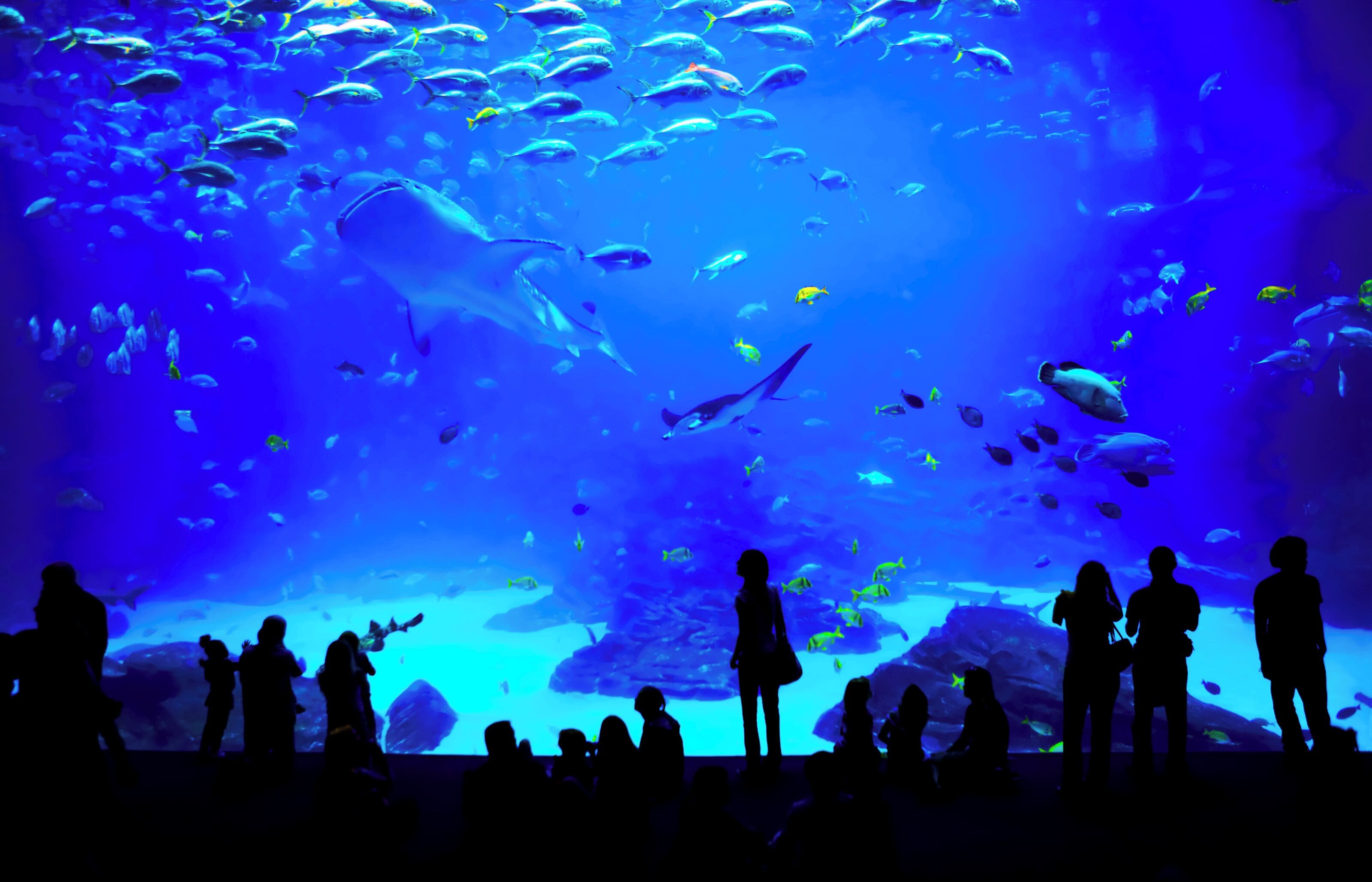 Foto - Signia By Hilton Atlanta Georgia World Congress Center