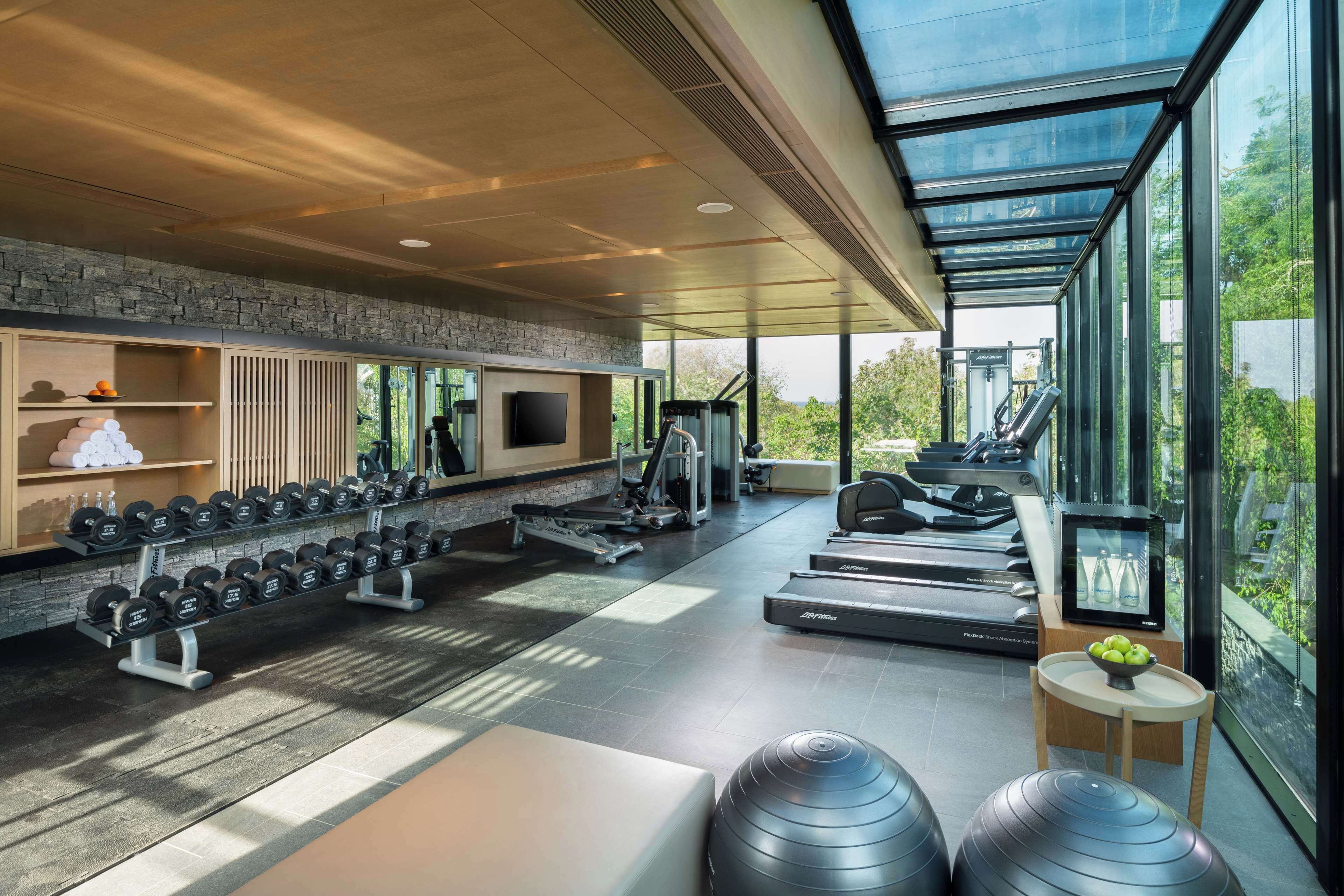 A modern gym with exercise equipment, a stone wall, and large windows offering a view of greenery.
