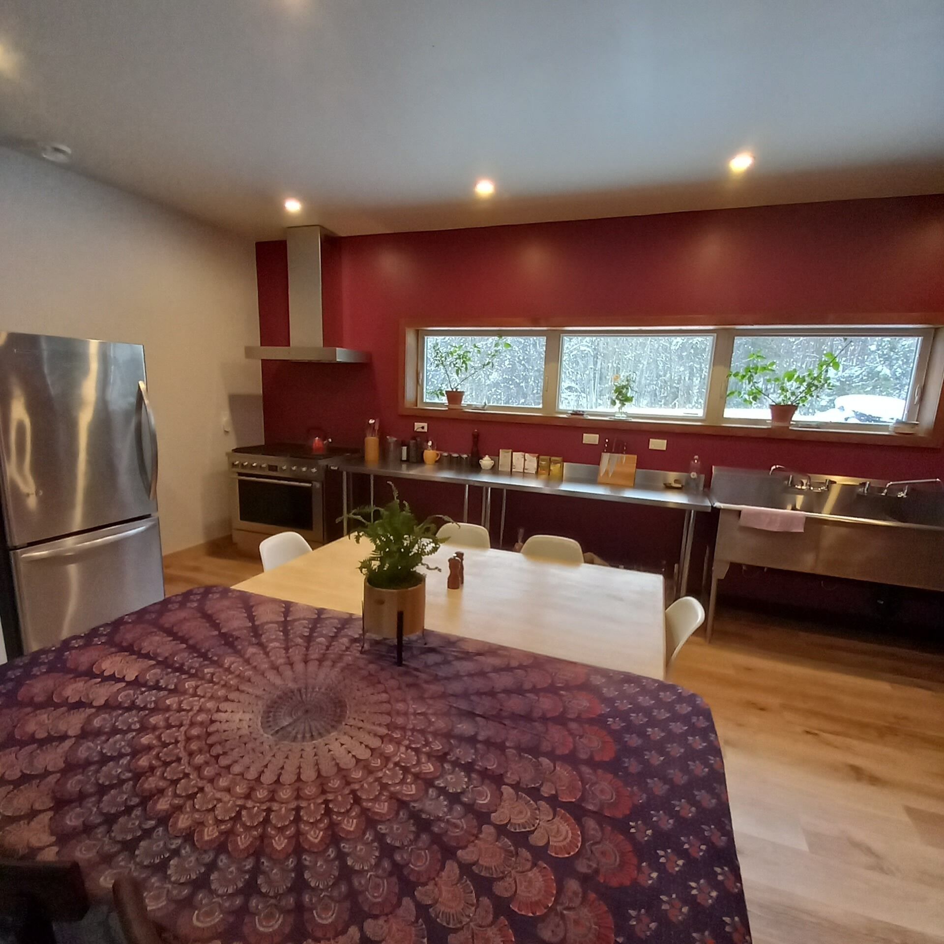 Country Farmstay Cottage on 80 acres -  Your perfect Winter escape!