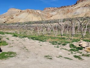 Terrain de l’hébergement 