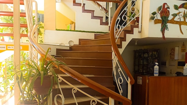A staircase with a wooden handrail and white balusters, surrounded by potted plants. - Hotel Payanito (Chanchamayo)