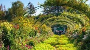 Un sendero de jardín con un arco central rodeado de abundante vegetación y diversas plantas.