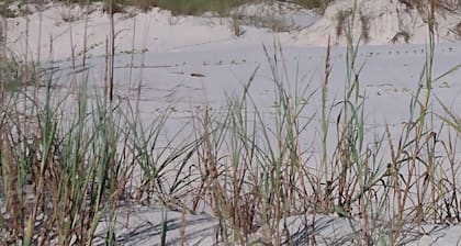 Costa Life 2/2 Condo + Pool + Sleeps 6