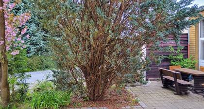 Pet friendly apartment