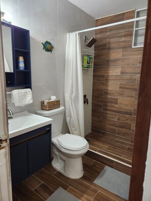 Ducha, secador de pelo, toallas, jabón