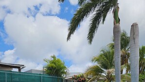 A rectangular swimming pool with a white frame, surrounded by a grassy area and palm trees. - Discover Beautiful Beaches in Fajardo! 3 Bed, 2 Bath home, Pool, BBQ, full AC! (Fajardo)