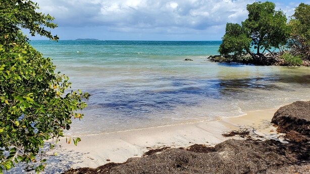 A beach with clear water, sandy shore, and mangrove trees. - Discover Beautiful Beaches in Fajardo! 3 Bed, 2 Bath home, Pool, BBQ, full AC! (Fajardo)