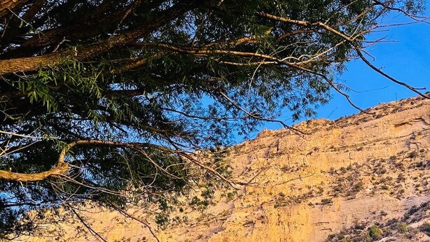 Una casa de un piso con un porche de madera, un muro de piedra en primer plano y montañas al fondo.
