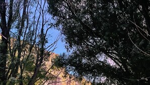 Una casa de dos pisos con un balcón de madera y montañas al fondo.