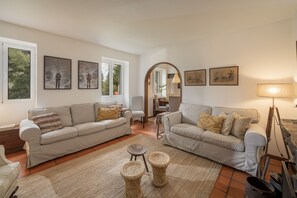 Televisión, chimenea