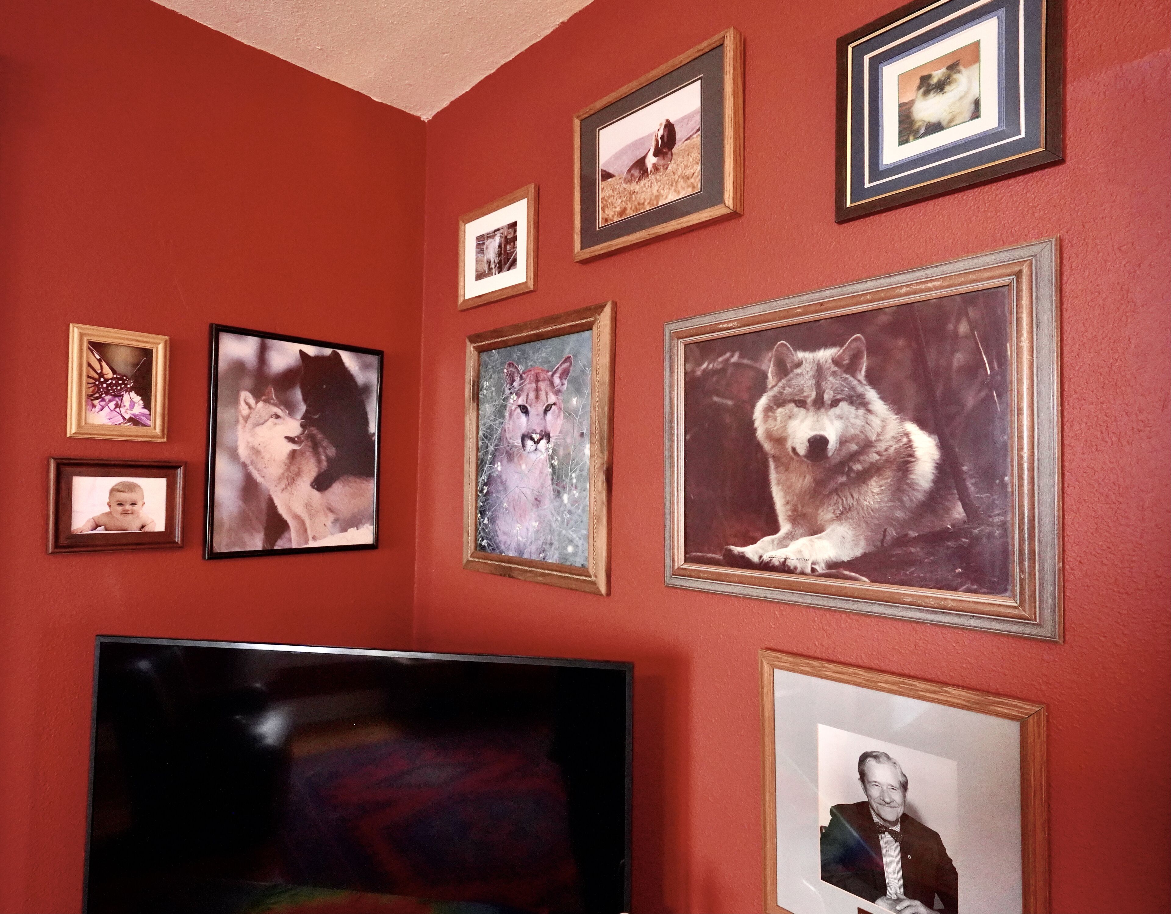 Ein Zimmer mit roter Wand, einem Flachbildfernseher und mehreren gerahmten Bildern, darunter Tiere und eine Person.