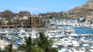 A marina filled with boats, surrounded by buildings and palm trees. - New Remodel / Spanish Chic Suite on the Cabo Marina (Cabo San Lucas)