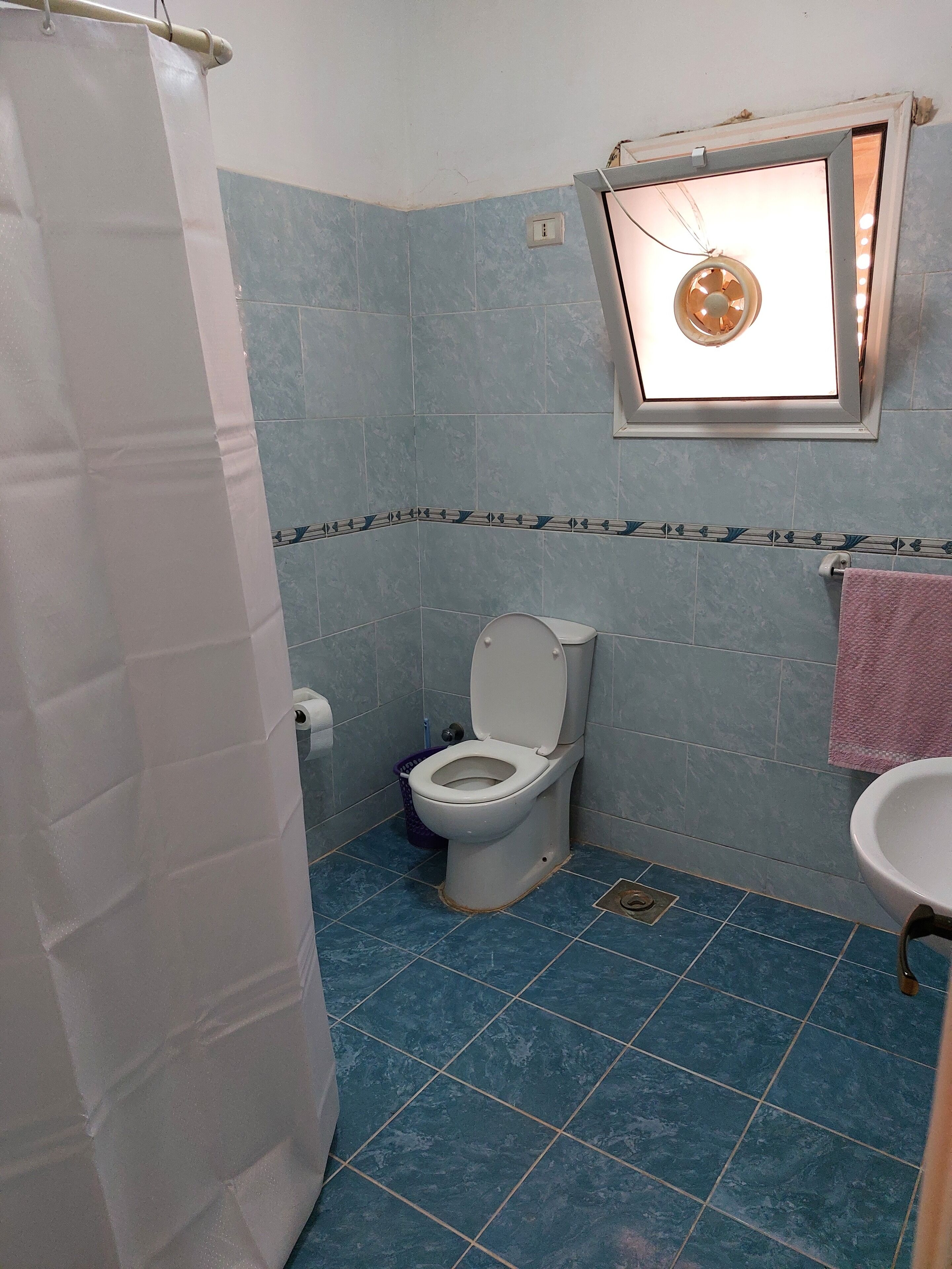 A bathroom with a toilet, a sink, and a shower curtain.