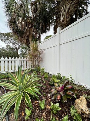 Exterior detail - Beach Cottage in Gulfport (Gulfport)