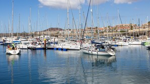 Eine Marina mit zahlreichen Segelbooten im Hafen, ruhiges Wasser und eine Küstenstadt im Hintergrund.