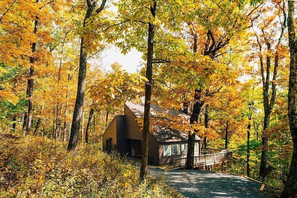 Fall Colors