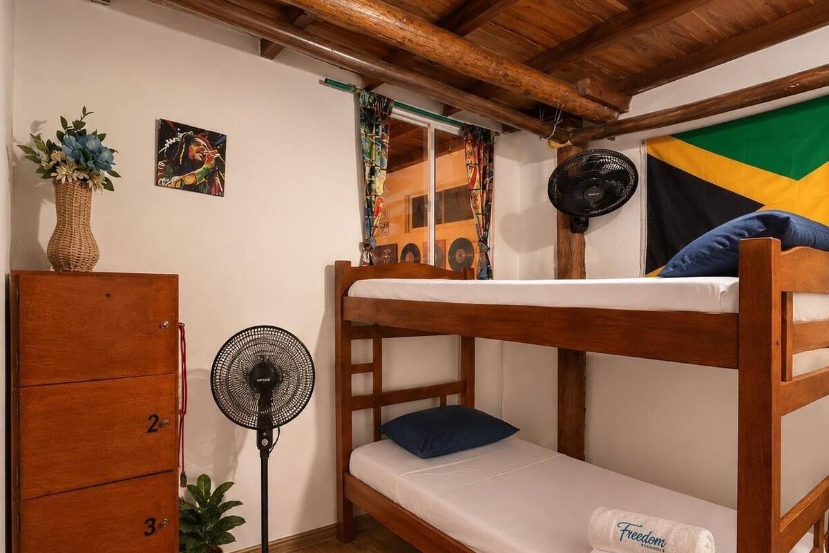 A bunk bed with a fan, a dresser with drawers, a potted plant, and a flag on the wall.
