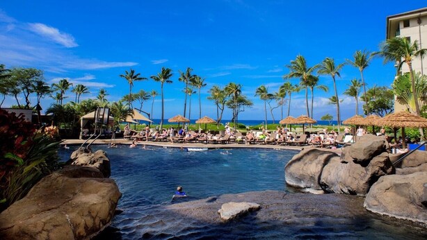 A pool area with lounge chairs and umbrellas, surrounded by palm trees and rocks.