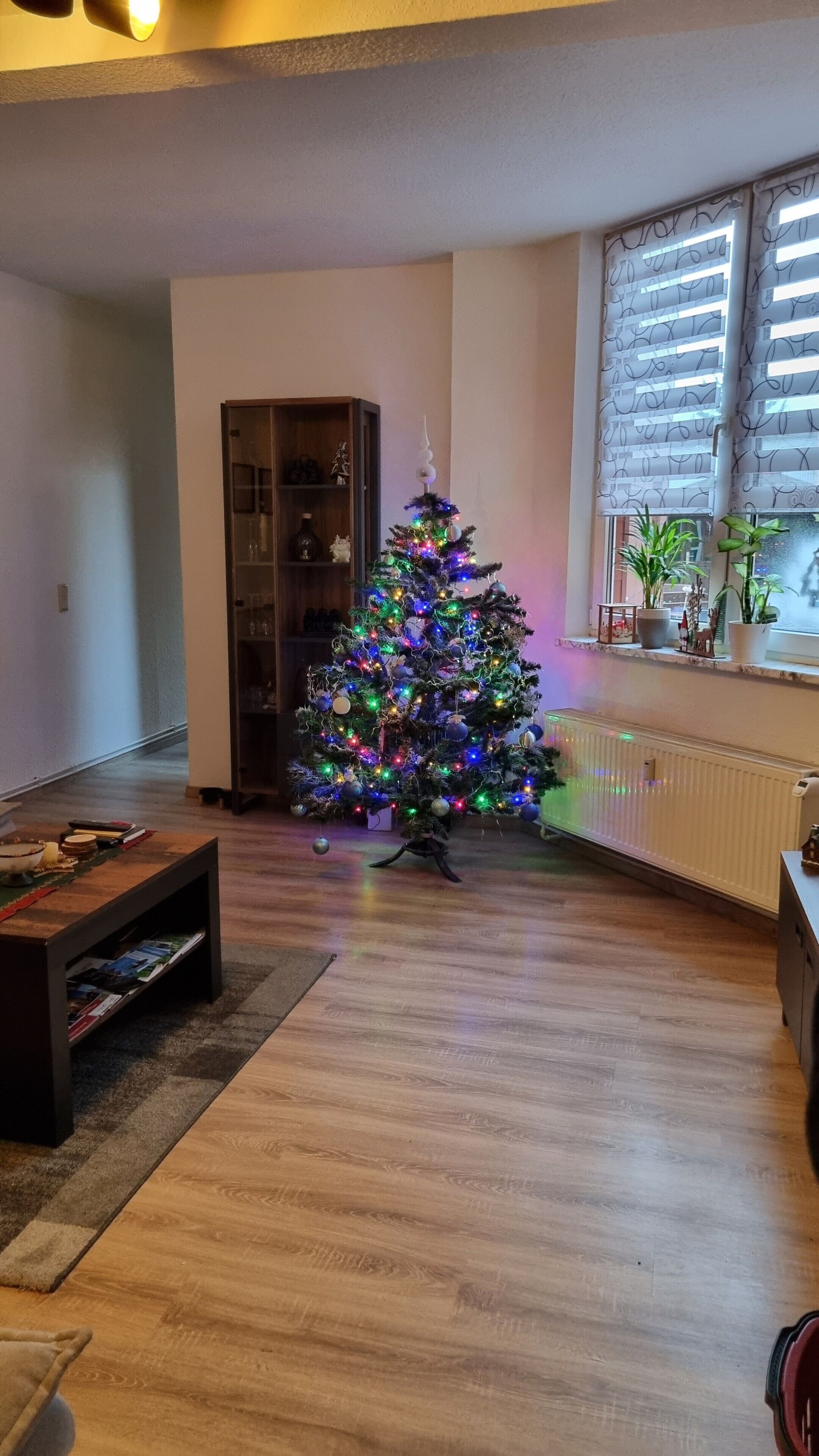 Ein Wohnzimmer mit Holzboden, einem Weihnachtsbaum, einem Bücherregal und einem Fenster mit Jalousien.