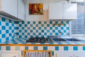 Fridge, stovetop, cookware/dishes/utensils, spices