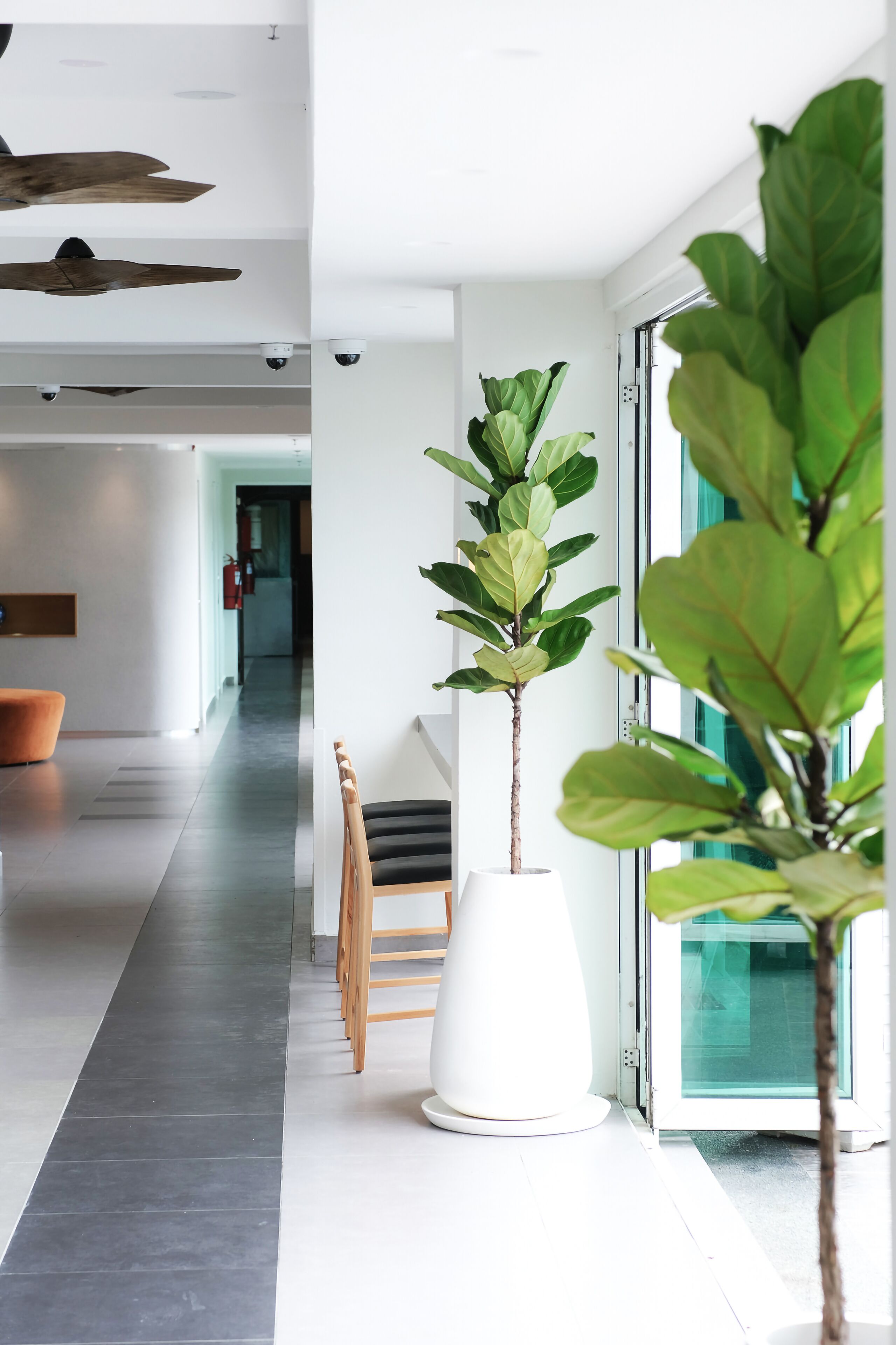 Foto - The Bayou Hotel