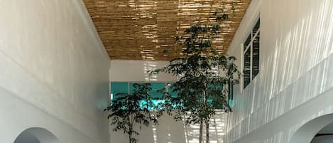 Un passatge cobert amb sostre de fusta, parets blanques i jardineres verdes.