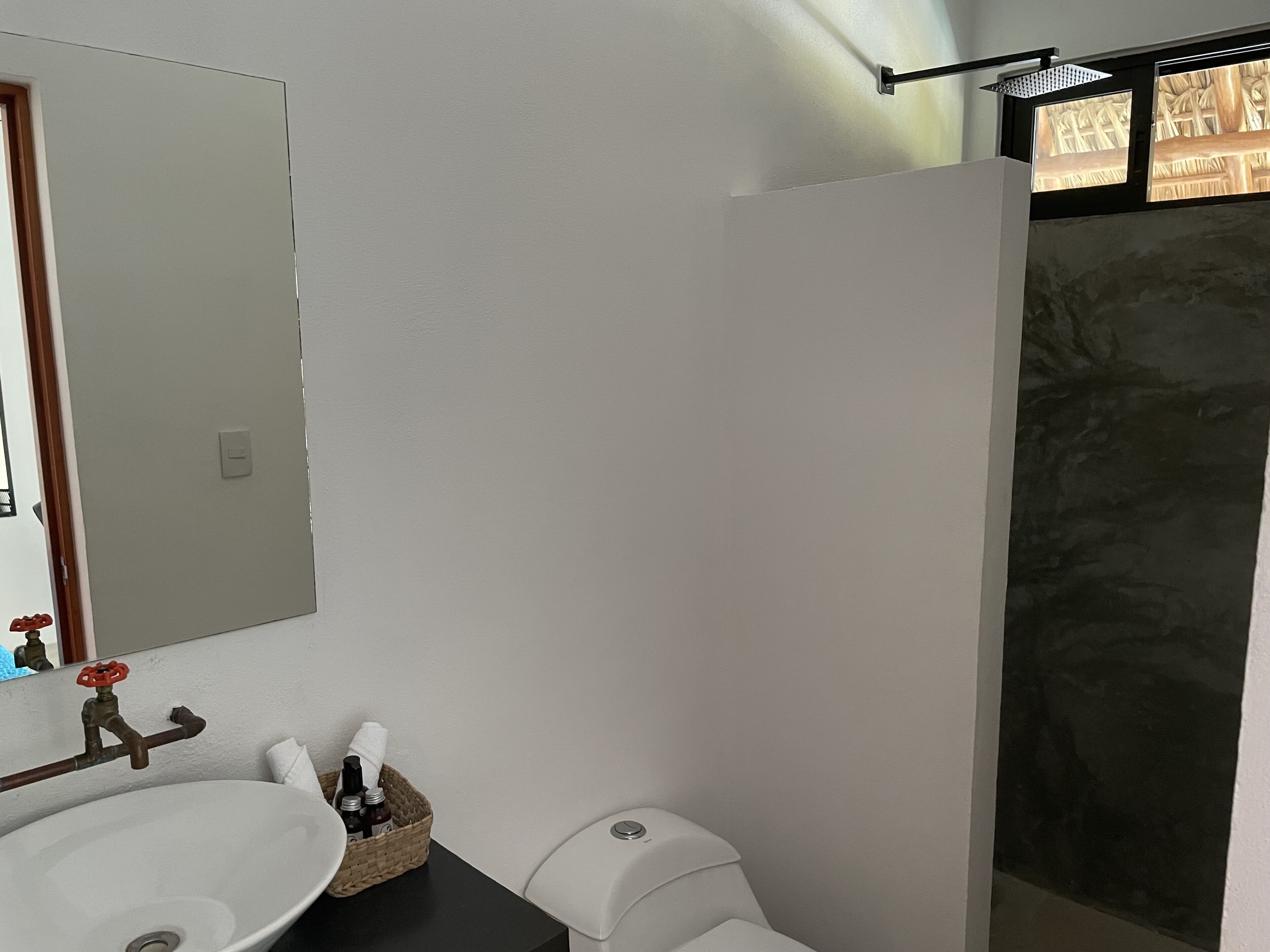 Un baño con lavamanos blanco, un espejo, inodoro y zona de ducha.
