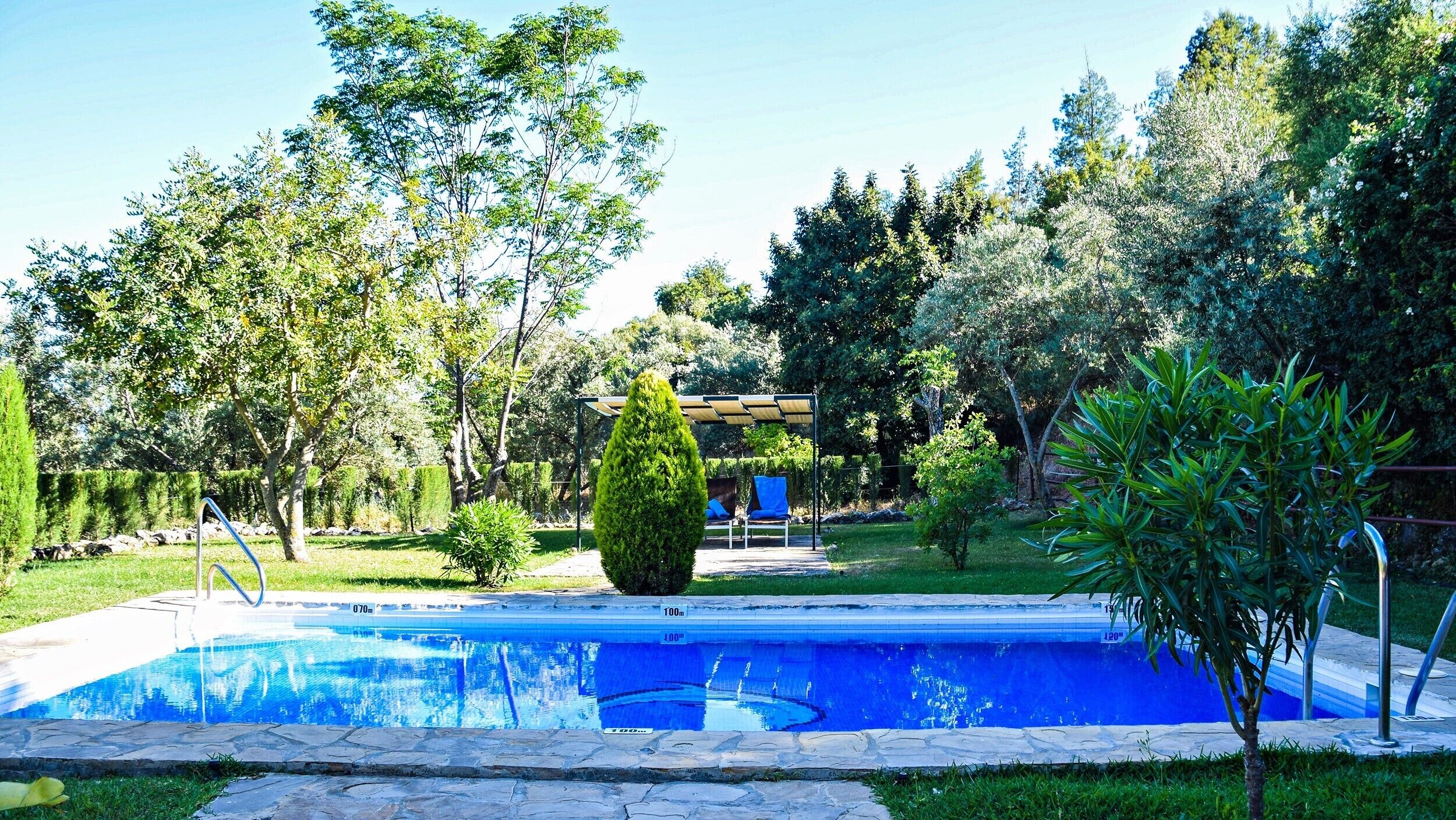 A swimming pool with a pergola and lounge chairs, surrounded by trees and greenery.