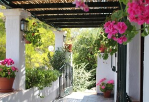 Zona exterior coberta amb plantes en testos i una porta.