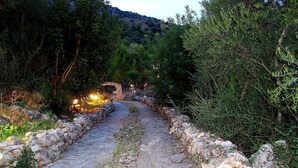 Un camí de pedra flanquejat per murs de pedra i vegetació densa, que condueix a un arc de pedra amb llums.