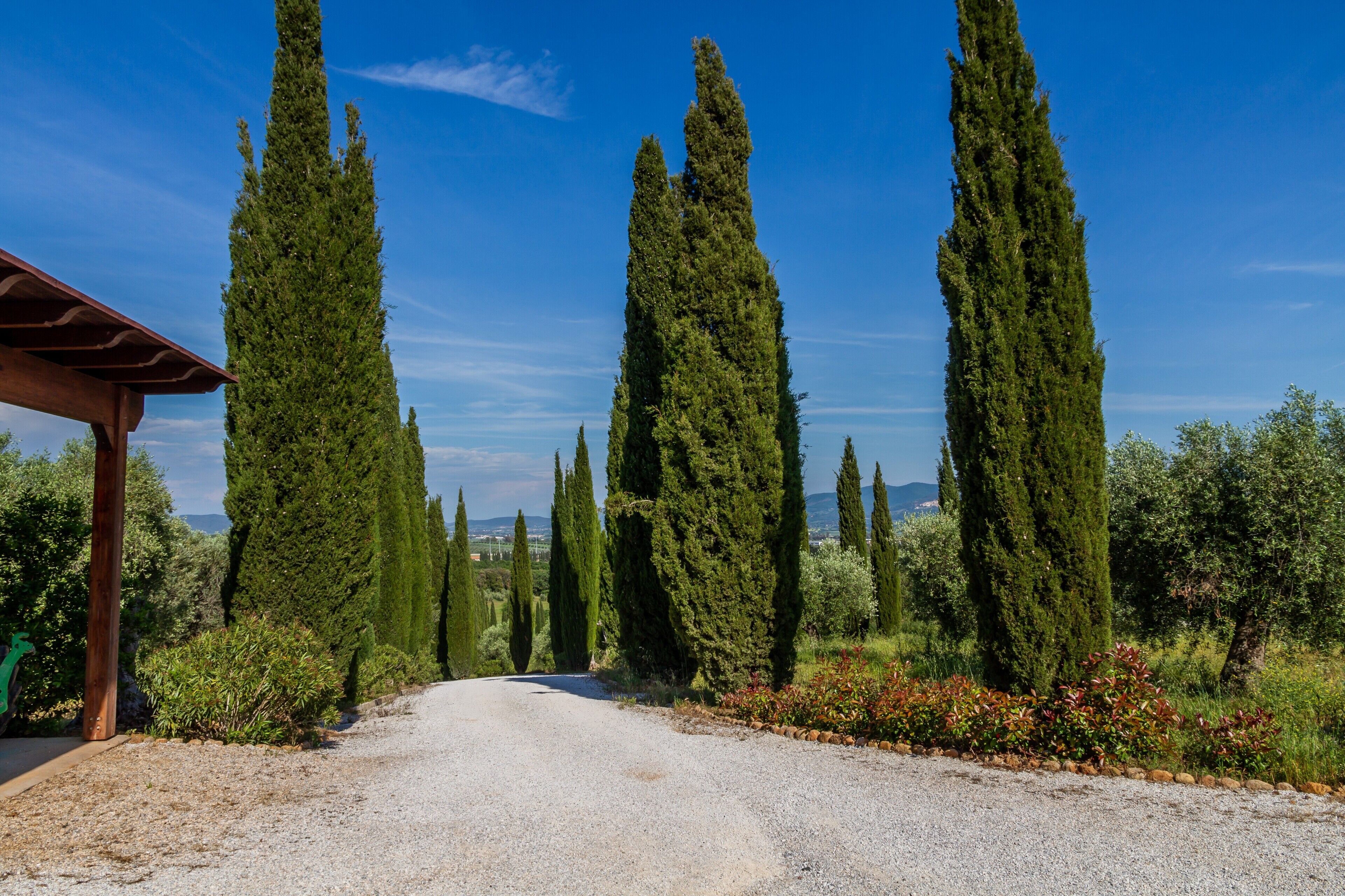 Parco della struttura