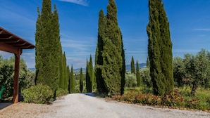 A gravel path flanked by tall cypress trees, leading to a wooden structure. - Villa "Glicine - Colleberto" with Sea View, Private Terrace & Wi-Fi (Follonica)