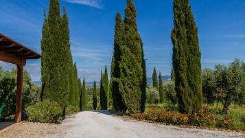 Parco della struttura