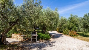 A gravel path leading through an olive grove with a stone bench and a grill. - Villa "Bouganville - Colleberto" with Sea View, Private Terrace & Wi-Fi (Follonica)
