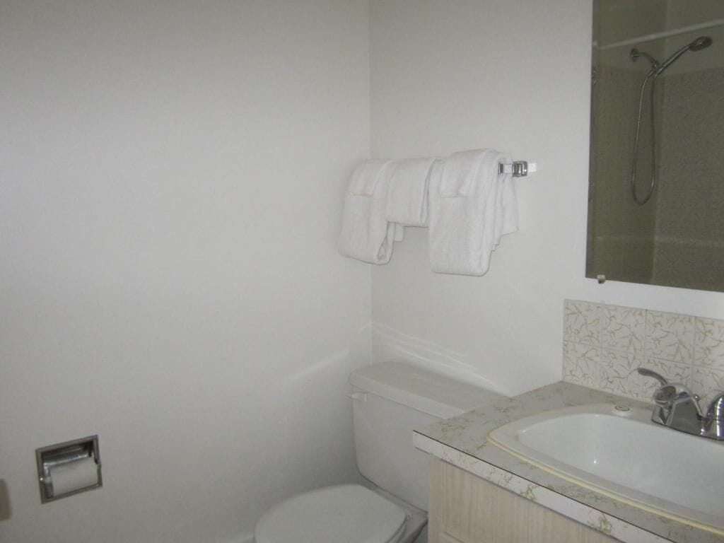Un baño con inodoro, lavabo con espejo y ducha.