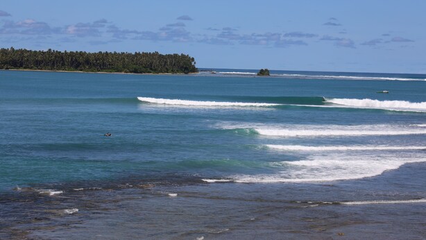 A beach with waves, a forested island, and a clear sky.
