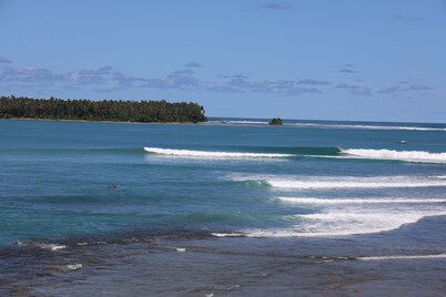 Clean and comfortable standard room with  garden view