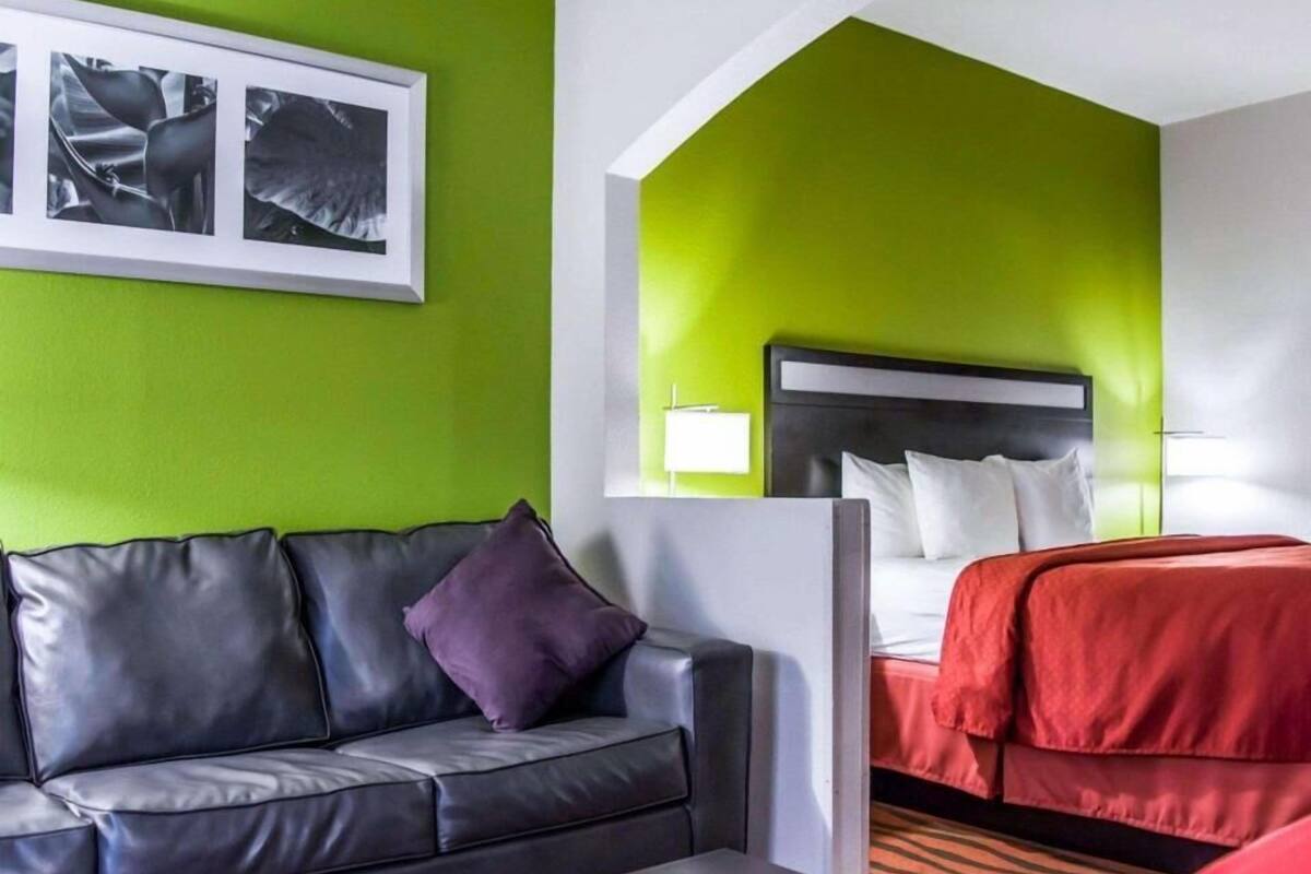 Ein Hotelzimmer mit grüner Akzentwand, einem schwarzen Ledersofa, einem roten Bett und einem weißen Kopfteil.