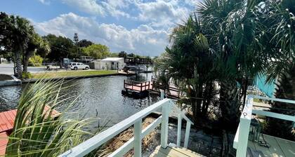 The Little Otter Pup: A Hidden Gem of Cape Cay