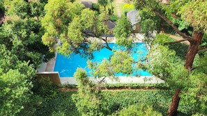Una piscina circondata da vegetazione lussureggiante e alberi.
