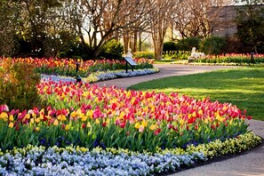 Ein Garten mit bunten Blumen, einem Weg und einer Statue im Hintergrund.